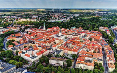 Pozycjonowanie sklepów i stron www Kalisz